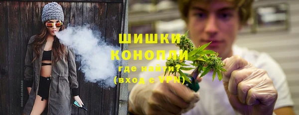 ГАЛЛЮЦИНОГЕННЫЕ ГРИБЫ Каменка