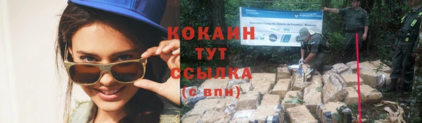 трава Зеленодольск