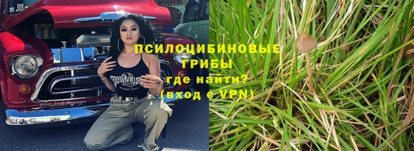 прущая мука Инта