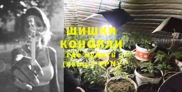 ГАЛЛЮЦИНОГЕННЫЕ ГРИБЫ Каменка
