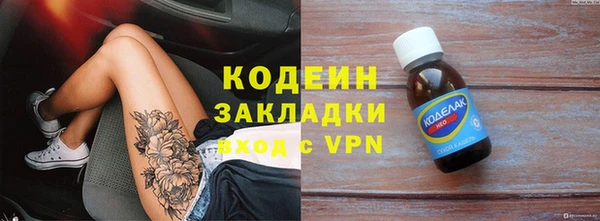 ГАЛЛЮЦИНОГЕННЫЕ ГРИБЫ Каменка