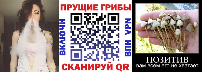 Галлюциногенные грибы ЛСД  ОМГ ОМГ рабочий сайт  Кирово-Чепецк 